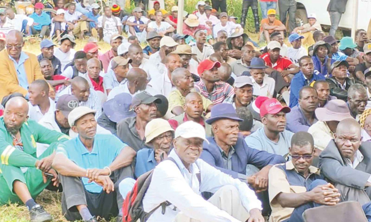 Dereck Goto tweet media