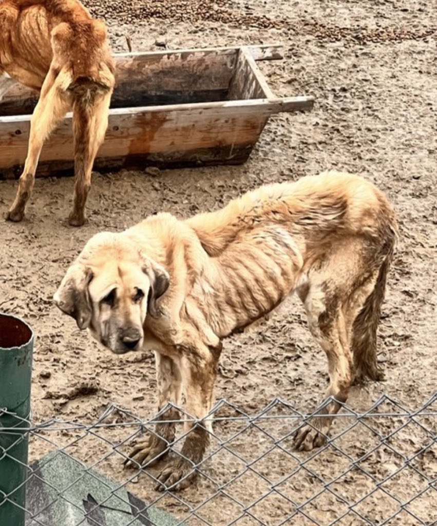 SiNEM GÜÇLÜ tweet media