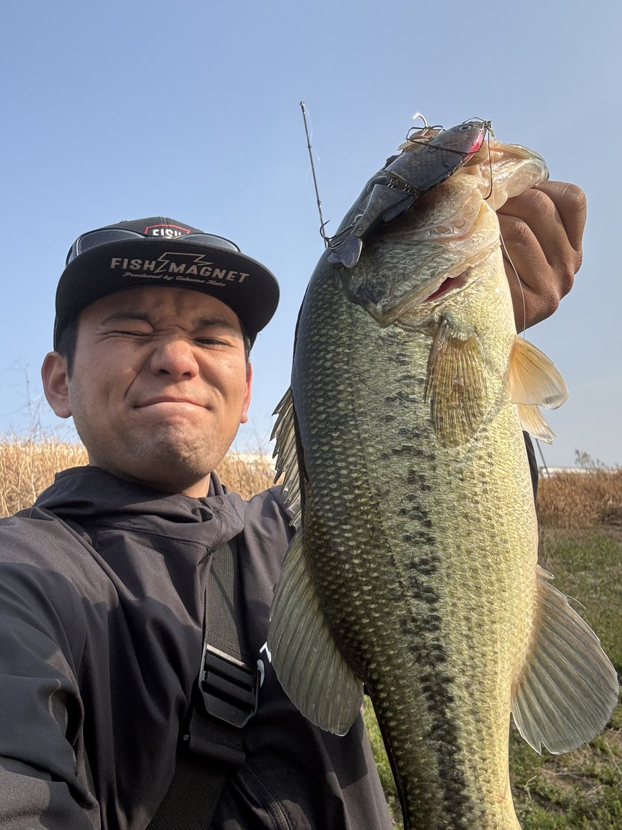 近藤 尊斗 tweet media