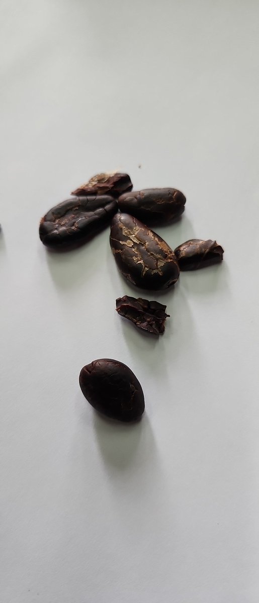 Lt Cerelac tweet media