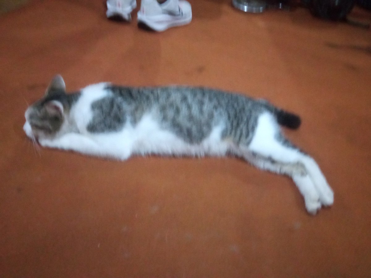 wage respati tweet media