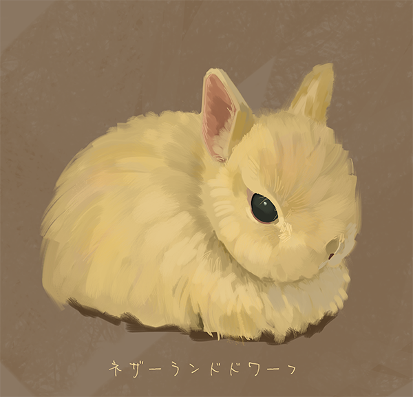 動物農場 tweet media
