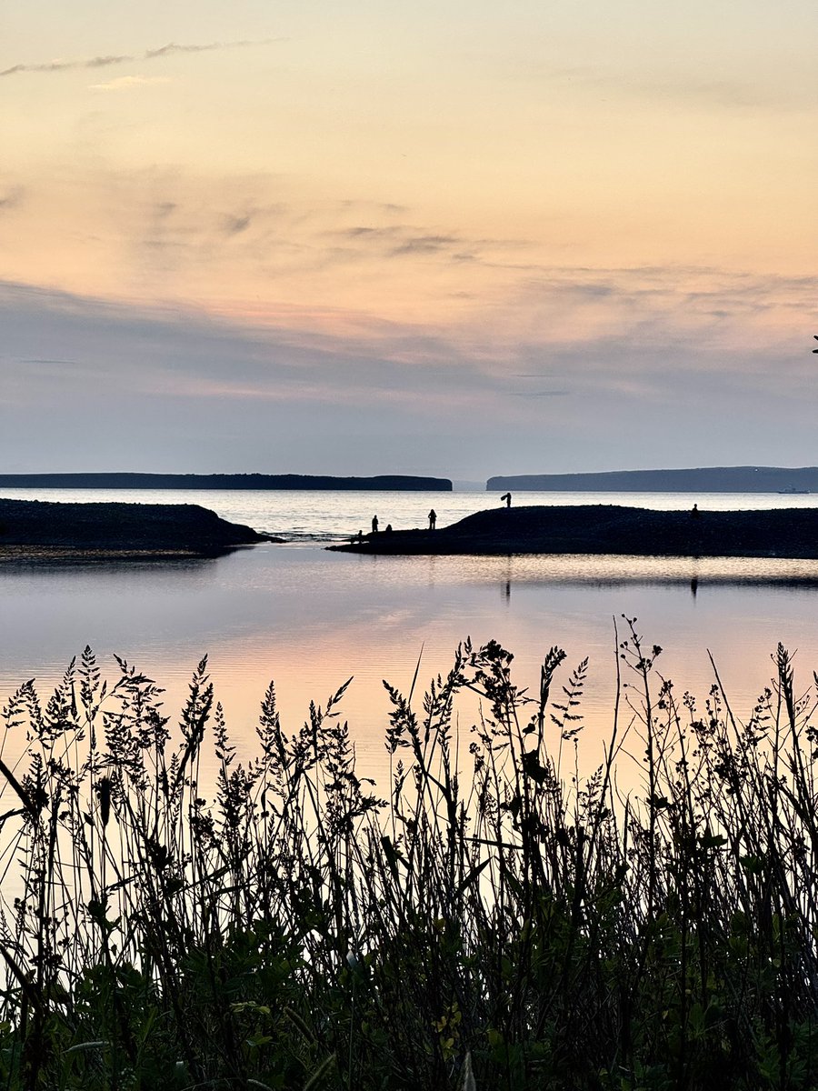 Connie Boland #querying #fiction tweet media