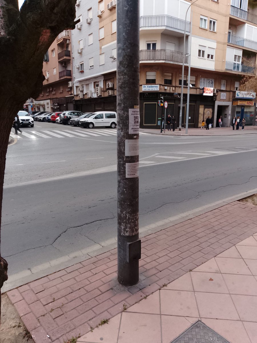 JUNTA DISTRITO NORTE MURCIA tweet media