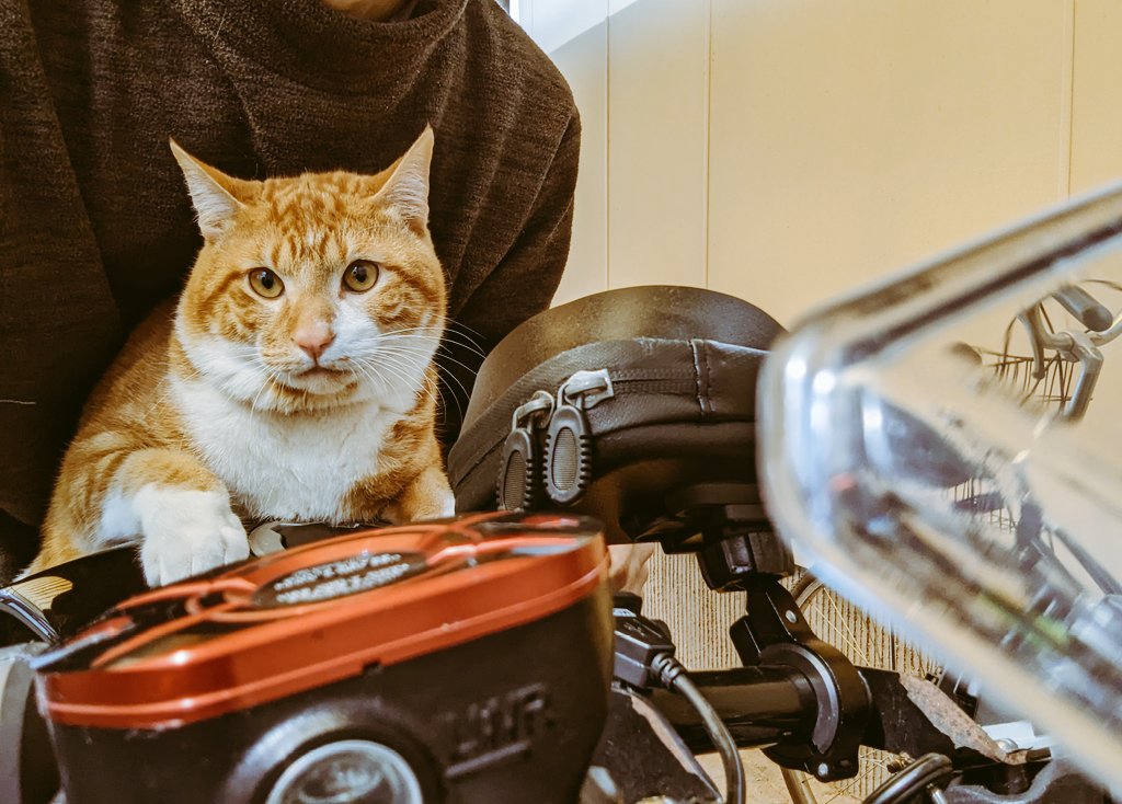 バイク乗りのヌッコ