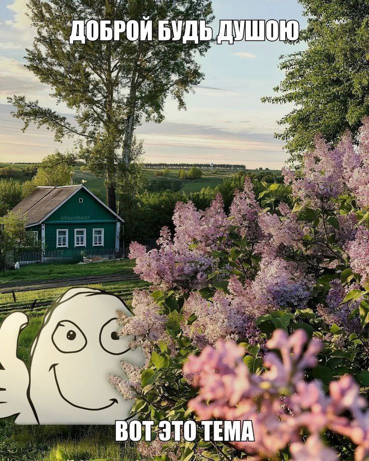 Chucky Ви tweet media