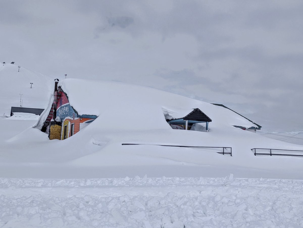 Things I see tweet media