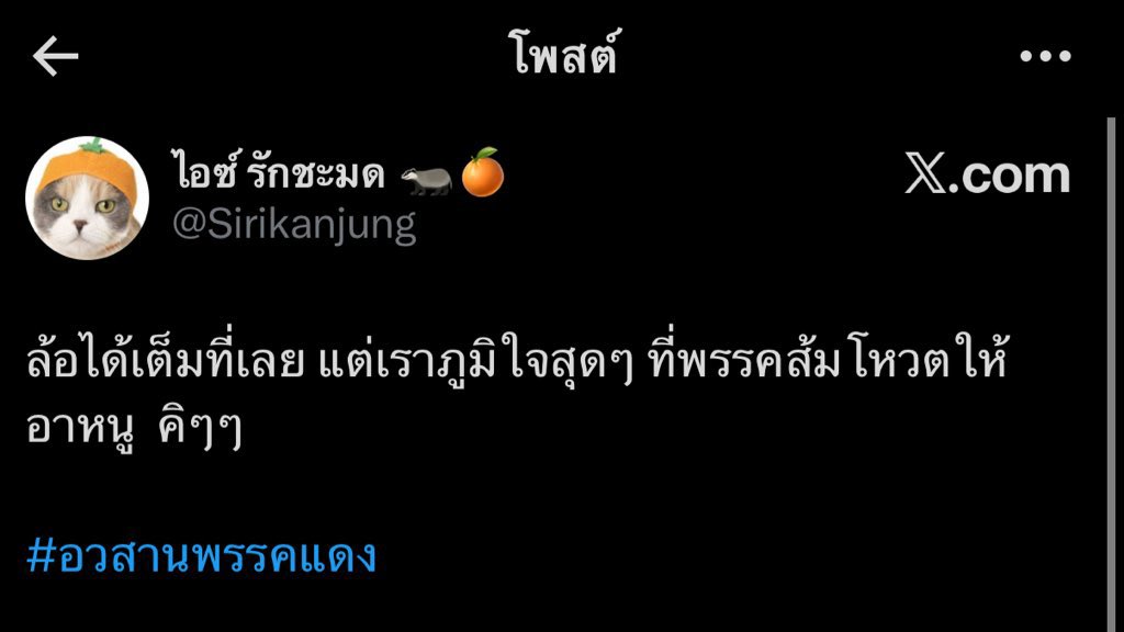 เจ้าหญิงราพันเซล แห่งอาณาจักรโคโรนา tweet media