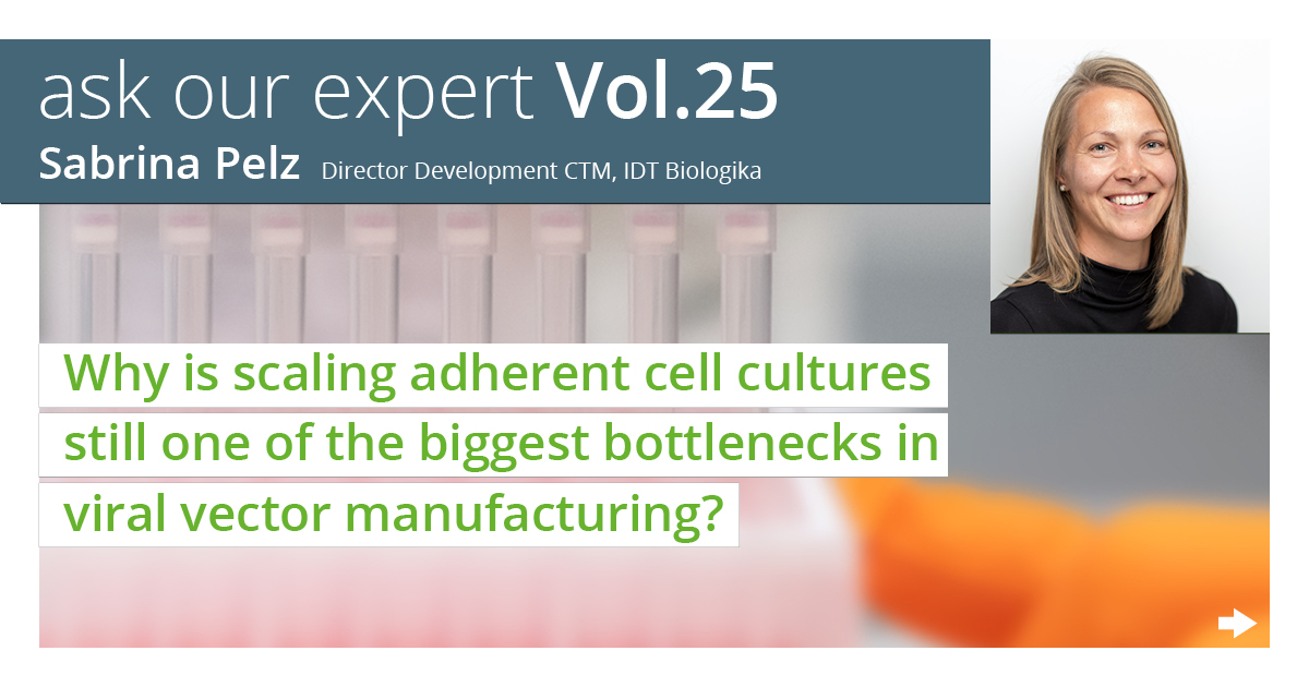 idtbiologika's tweet photo. Sabrina Pelz, Director Development/CTM, says: “Scaling viral vectors is more than a volume question. It’s about control, efficiency, and smart use of technology.” 👉  Swipe to learn more.

#AskOurExpert #CDMO #IDTBiologika #ProcessDevelopment #Scaleup #ViralVectors https://t.co/5vf6nYwpvi