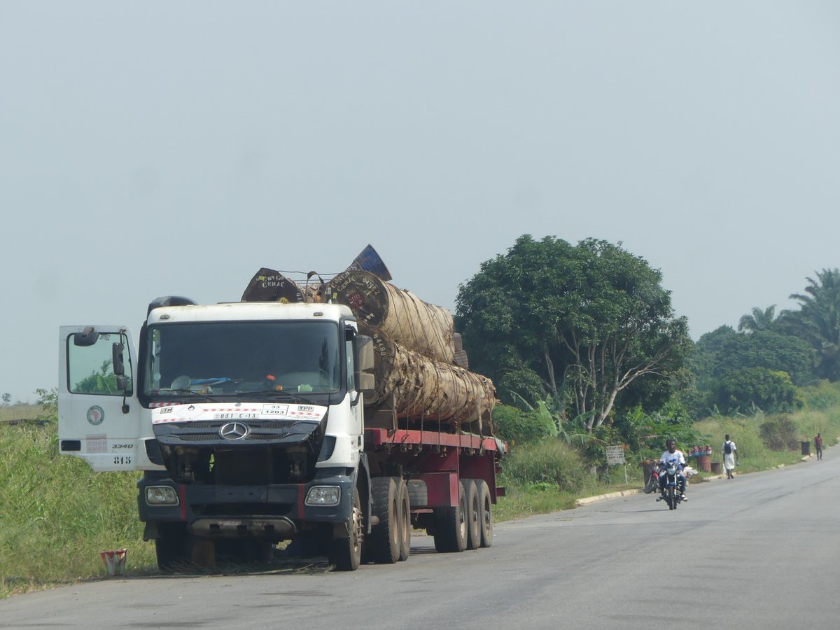 Photos for Trees Kenya🌳 tweet media