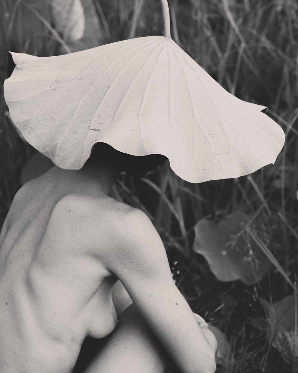 Ekaterina Bazhul tweet media