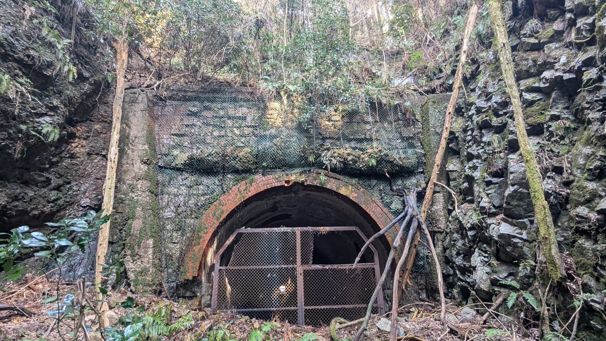 まけうどん tweet media