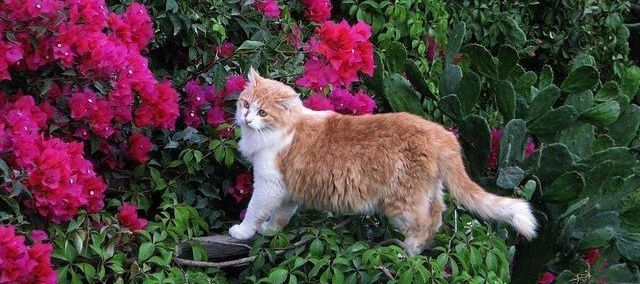 Maria Baloch tweet media