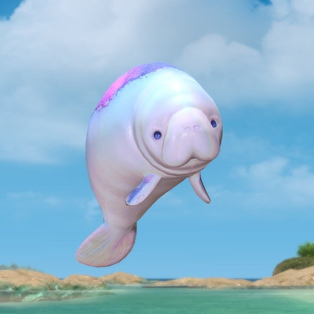 익끼공/ mossball tweet media