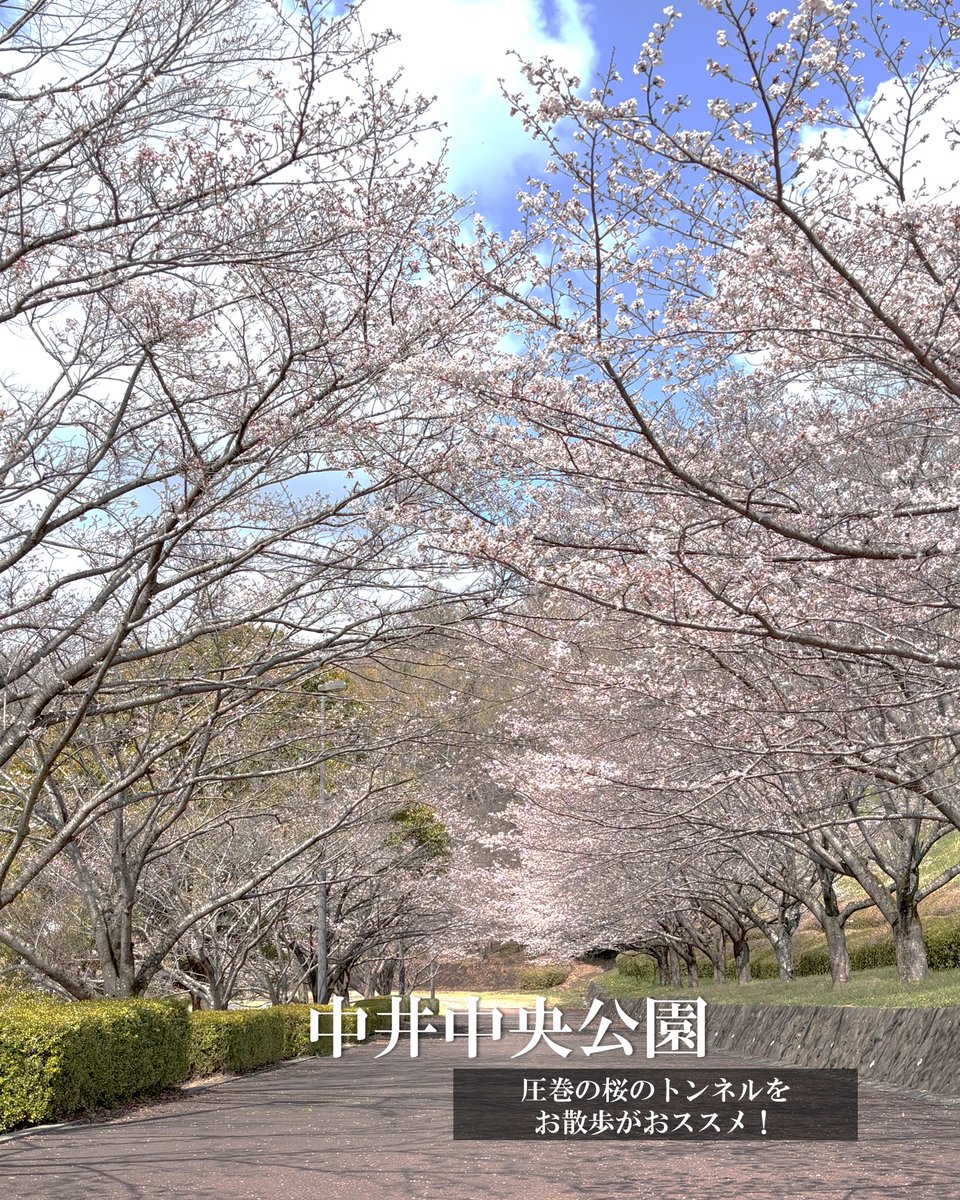 かながわ西おでかけ情報 tweet media