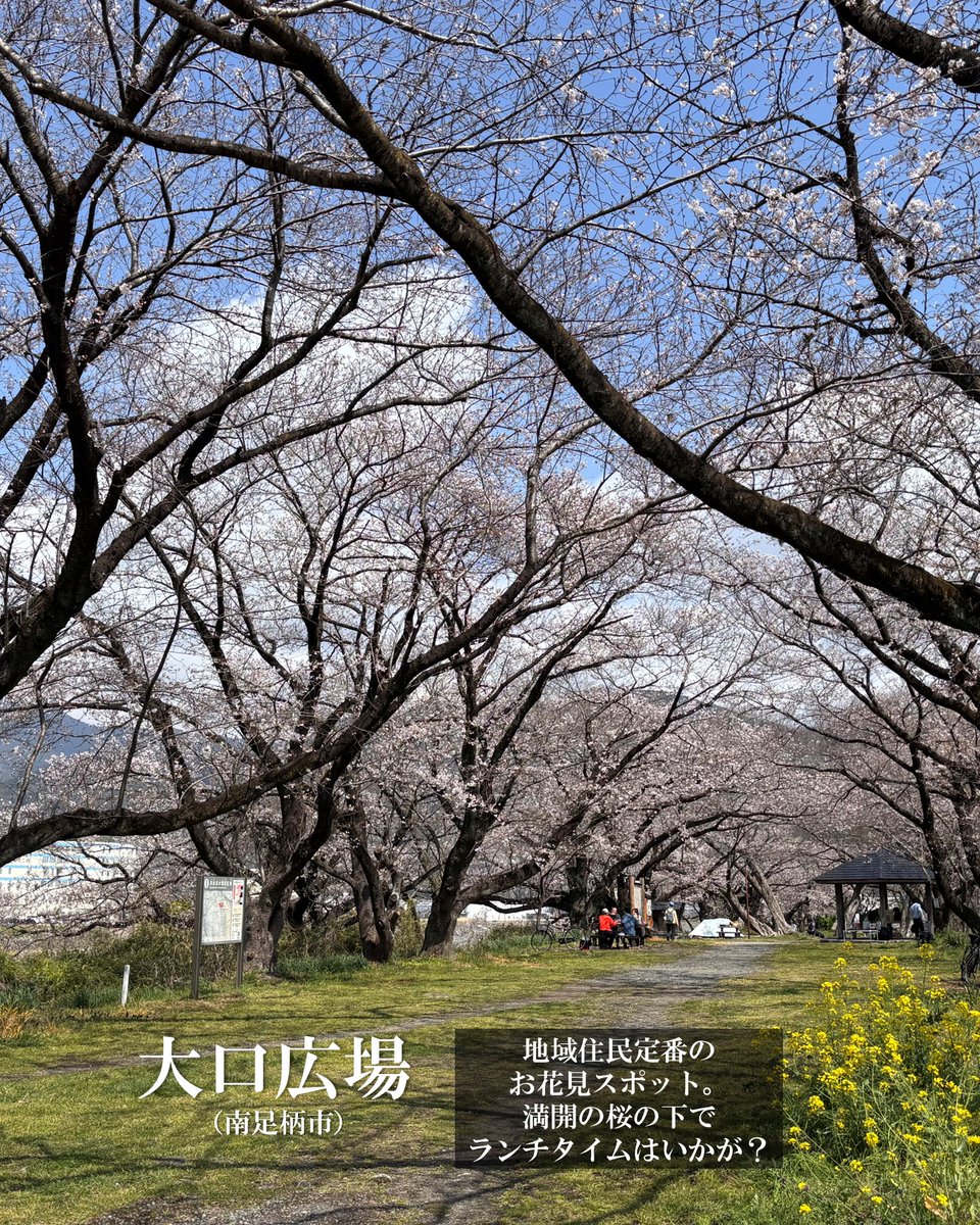 かながわ西おでかけ情報 tweet media