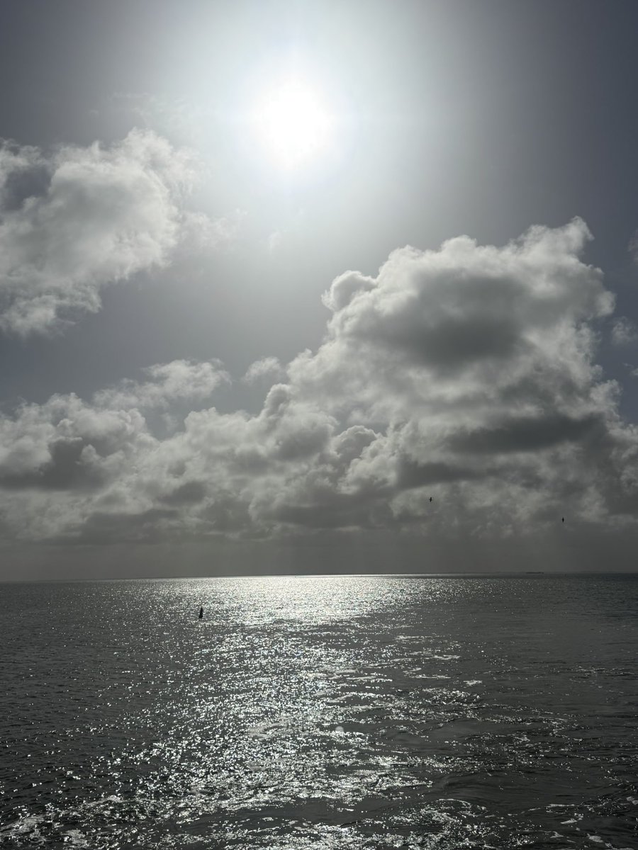 richardtkiewiet tweet media