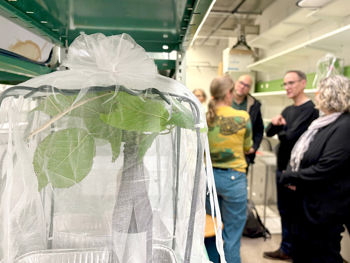 Université de Lausanne tweet media