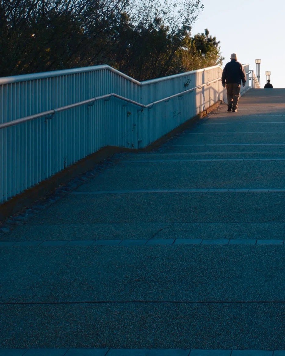 koo | 日常写真家 tweet media