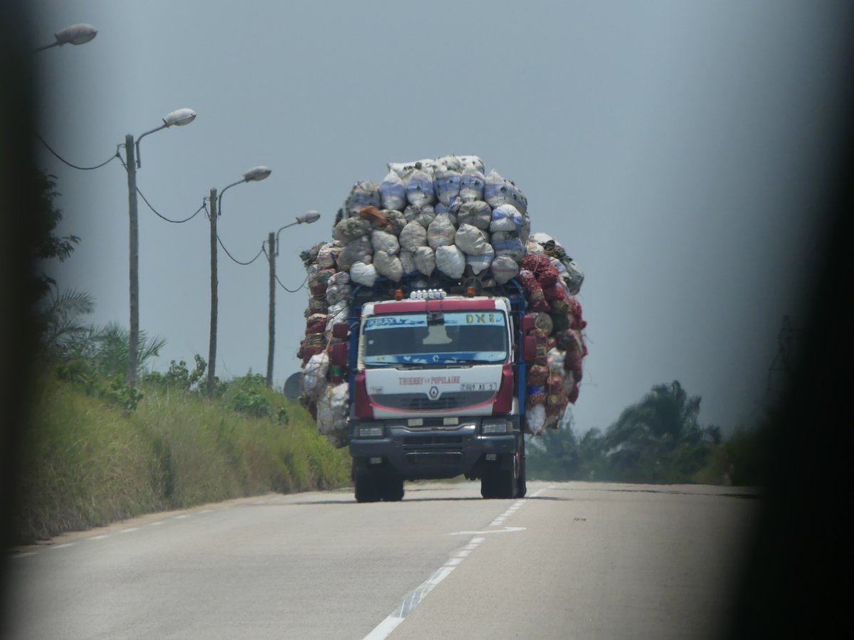 Photos for Trees Kenya🌳 tweet media