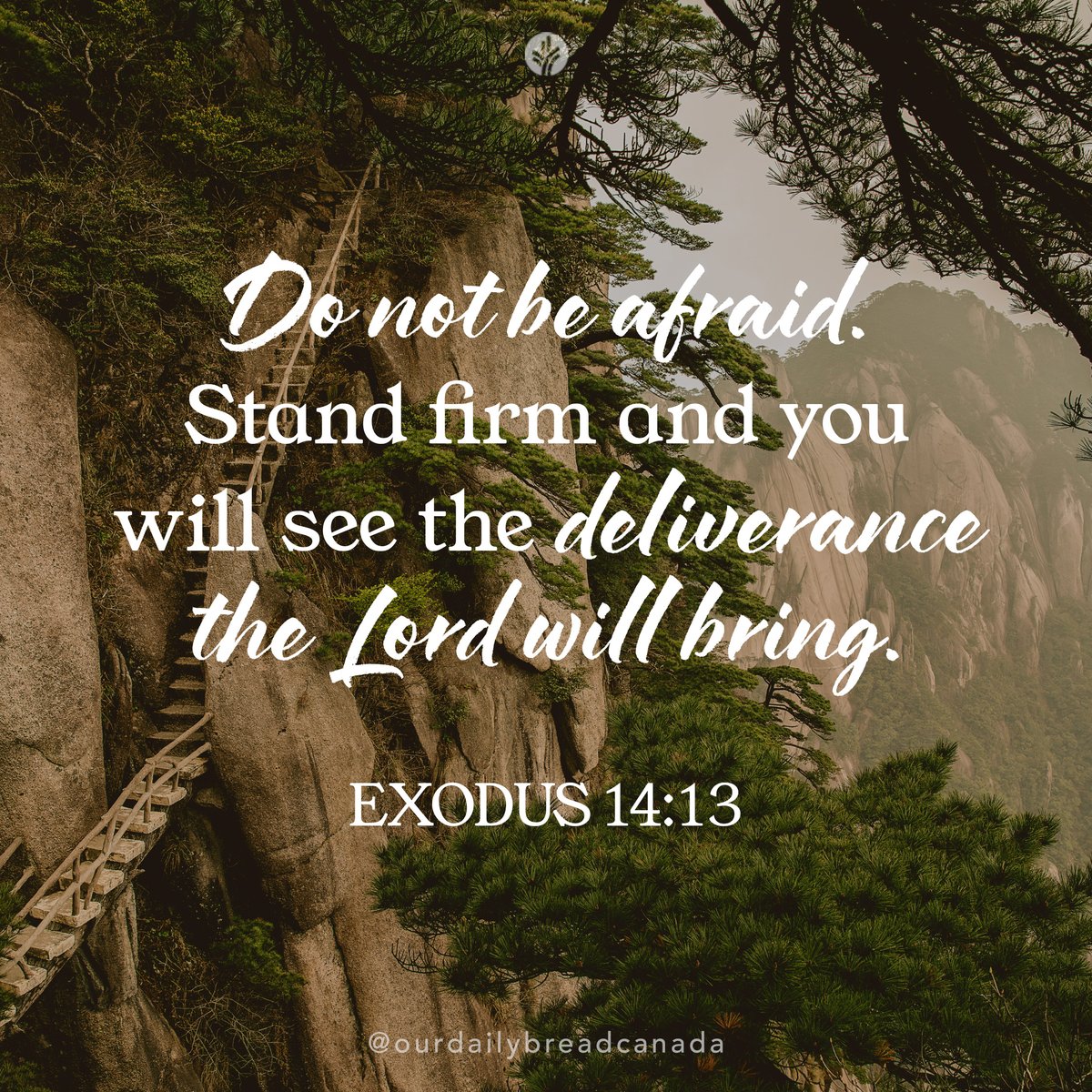 Our Daily Bread Canada tweet media