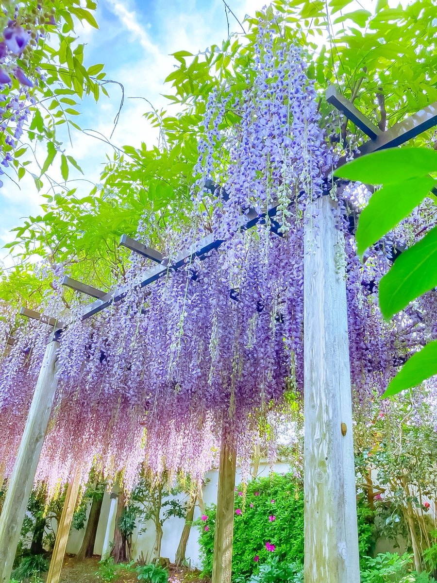 空に青。 tweet media