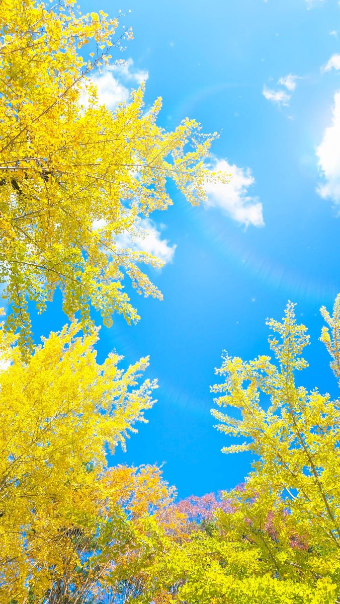 空に青。 tweet media