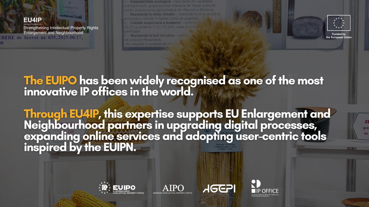 EU International Intellectual Property Cooperation tweet media