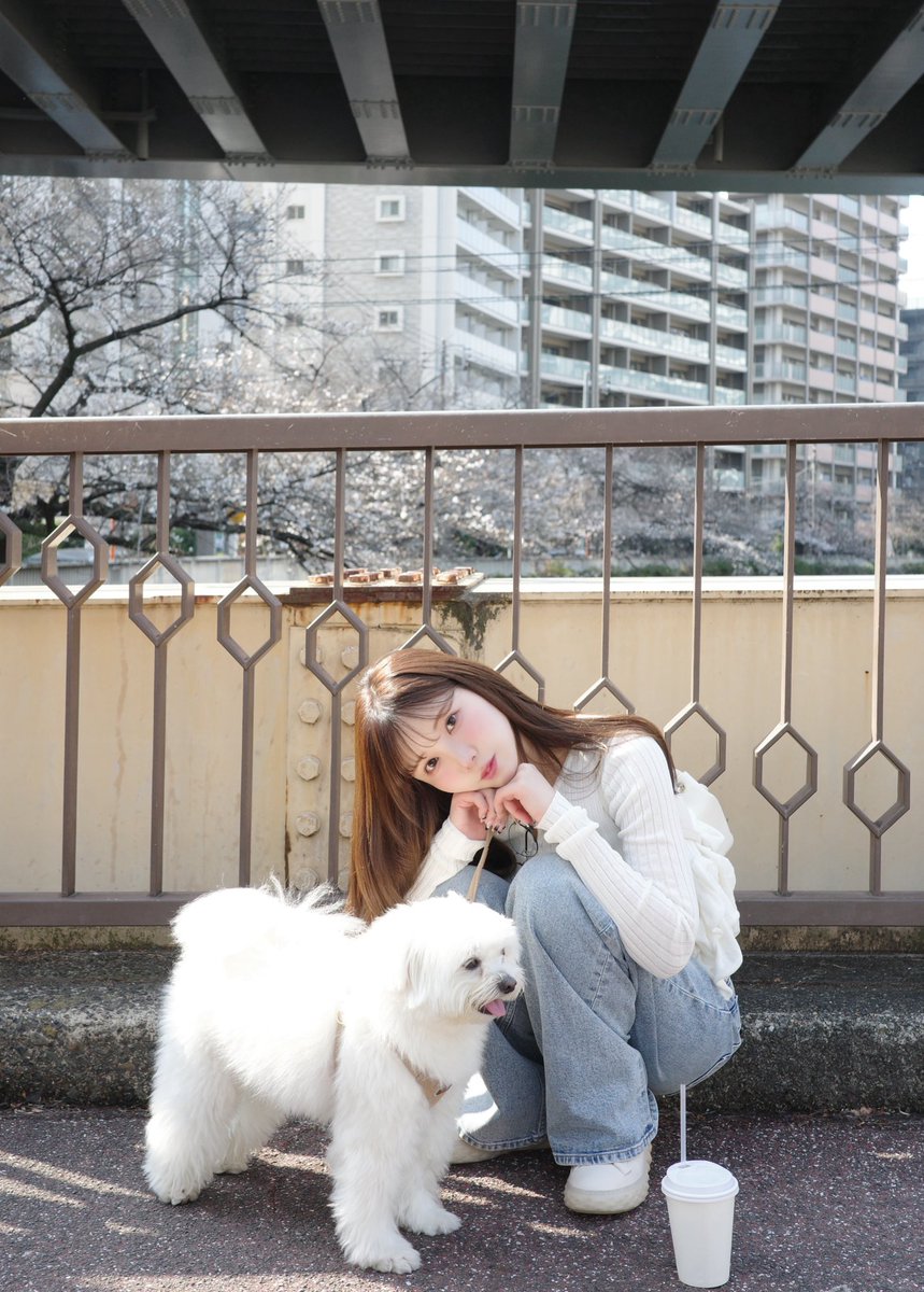 えみ姉 tweet media