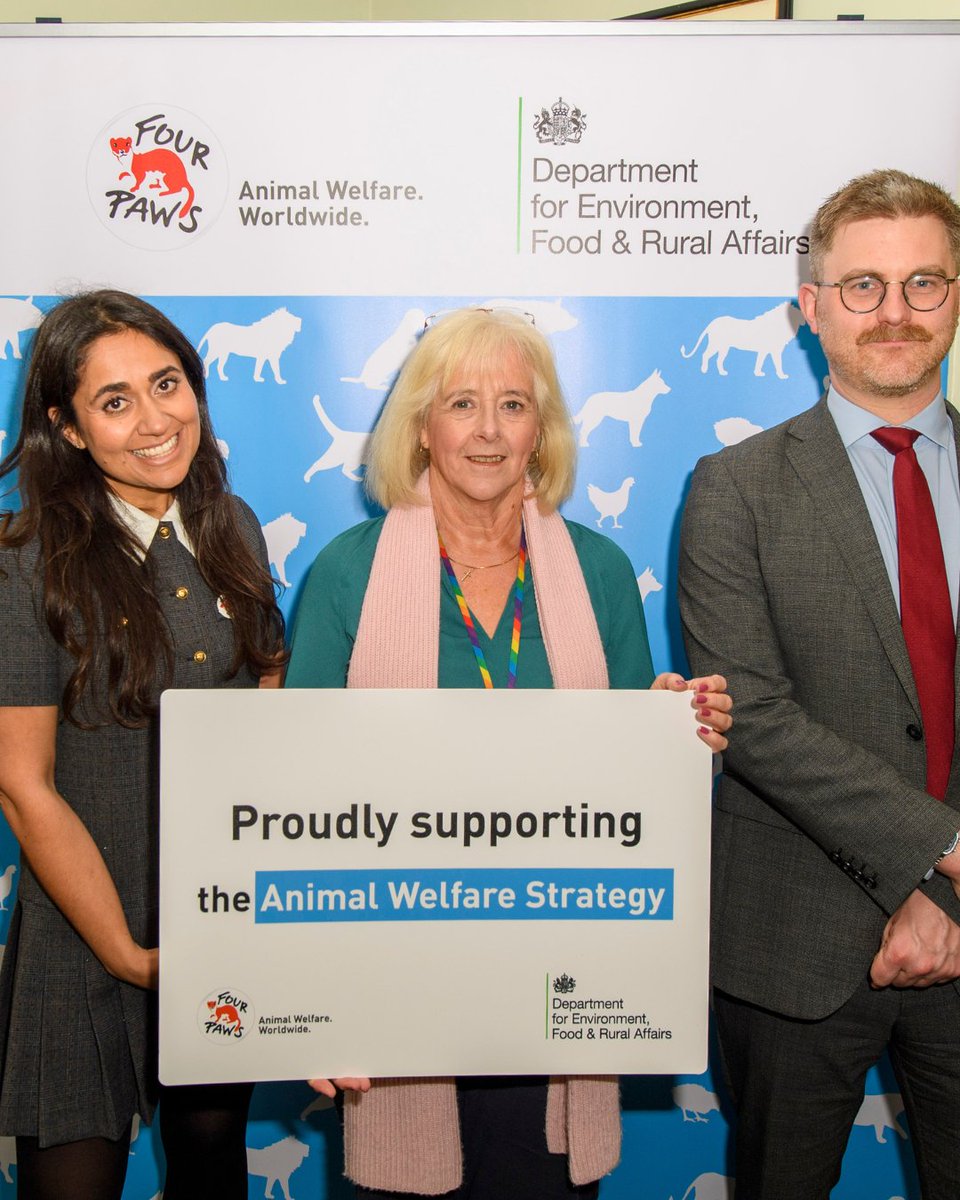 FOUR PAWS UK tweet media