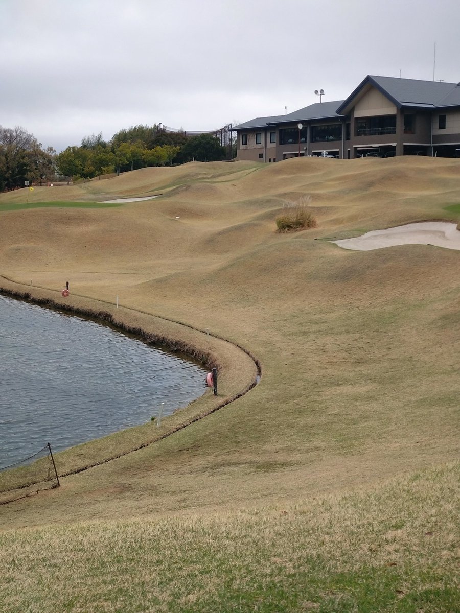 しぃーちゃん😀ゴルフ⛳神戸 tweet media