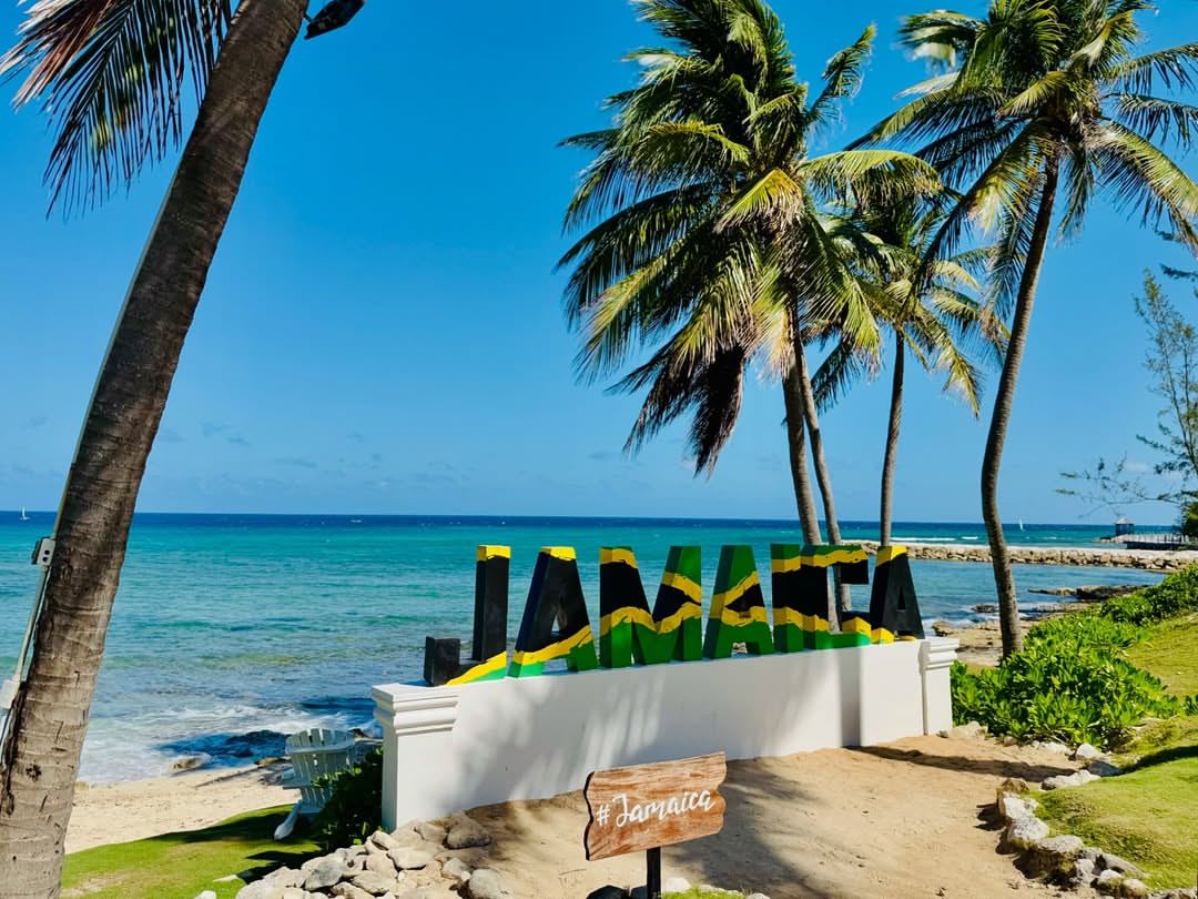 Joburg Adventures tweet media