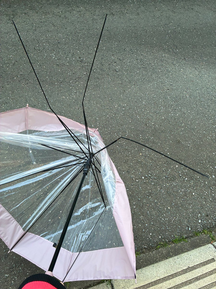 ᯤ 𝙘𝙪𝙡𝙡𝙚𝙣 ␌ tweet media