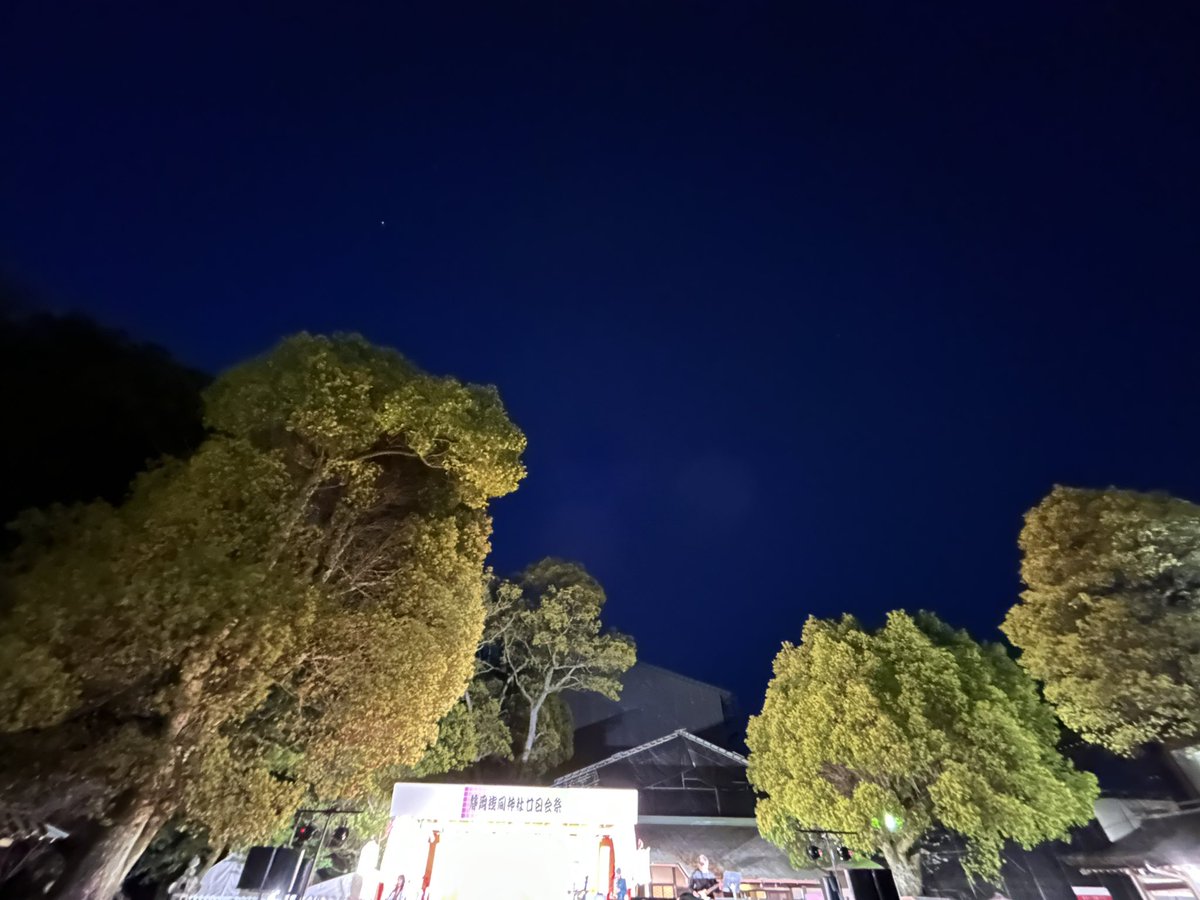 古書肆・書籍と処女／店員ゆうこ tweet media