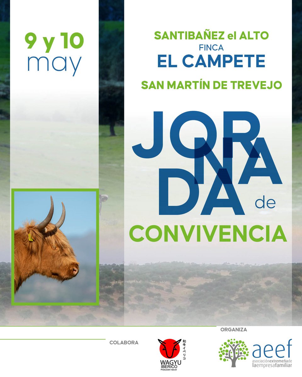 A.E.Empresa Familiar tweet media