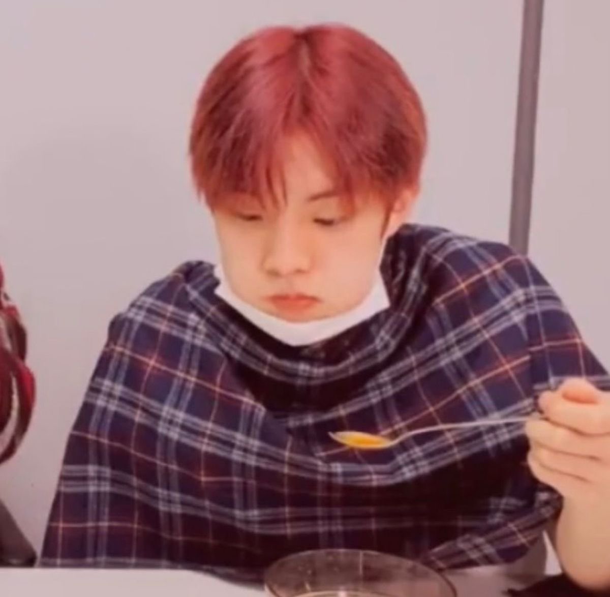 뉴냥이 tweet media