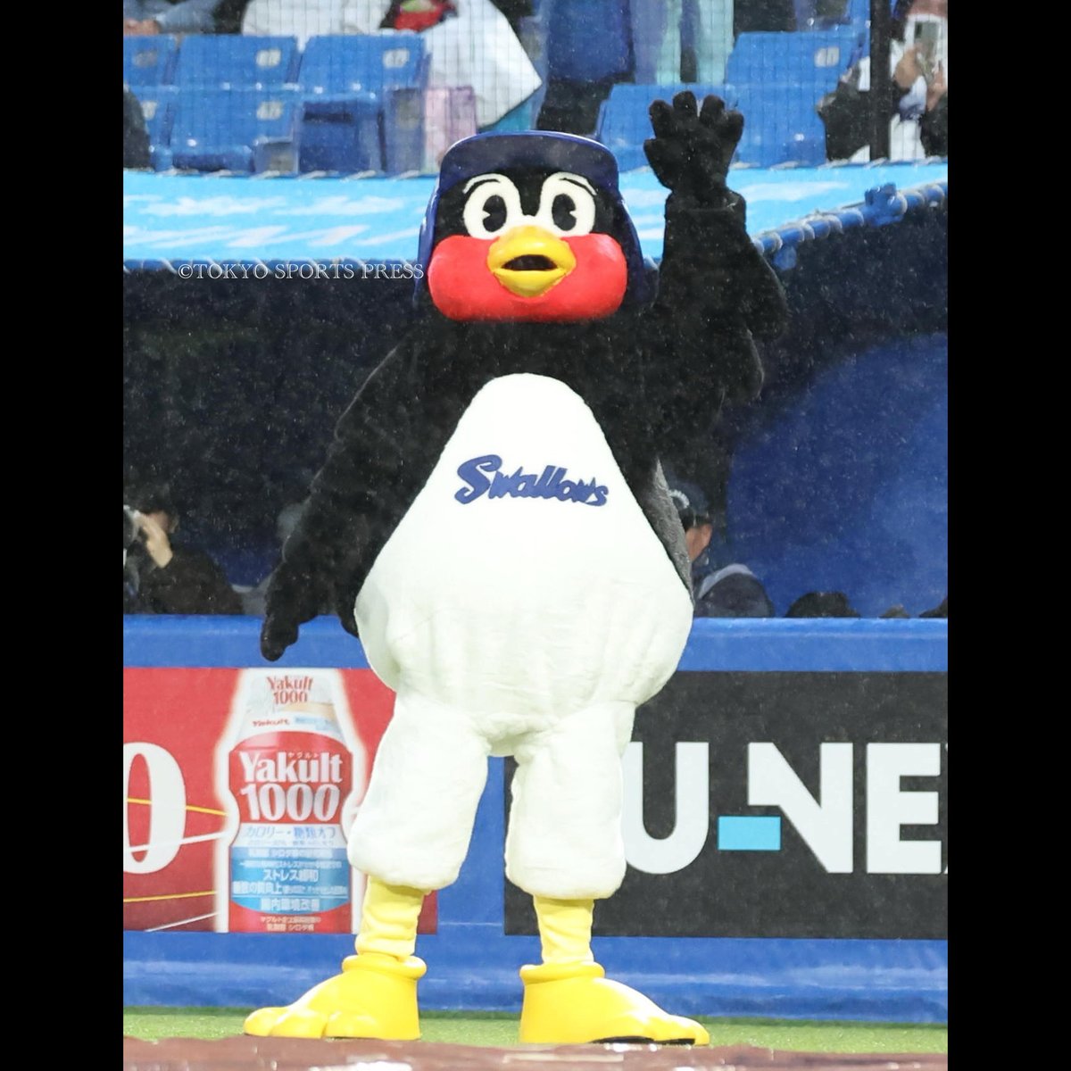 東スポ 写真映像部 tweet media