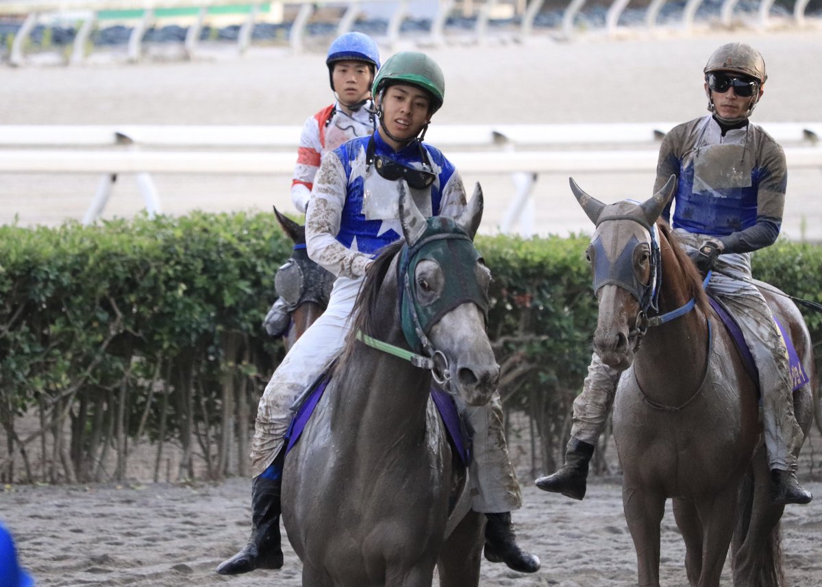 大恵 陽子(競馬リポーター) tweet media