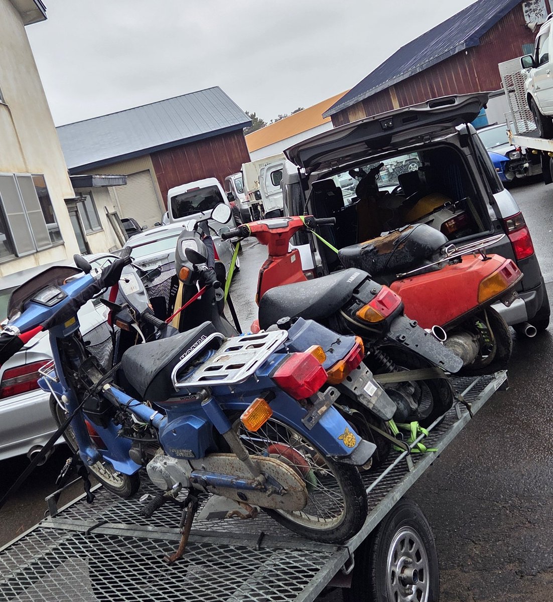 りゅ～せ～(ｶﾞﾗｸﾀｻﾙﾍﾞｰｼﾞ) tweet media