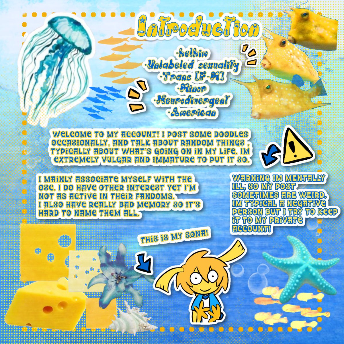 🐟Mac🧀 tweet media