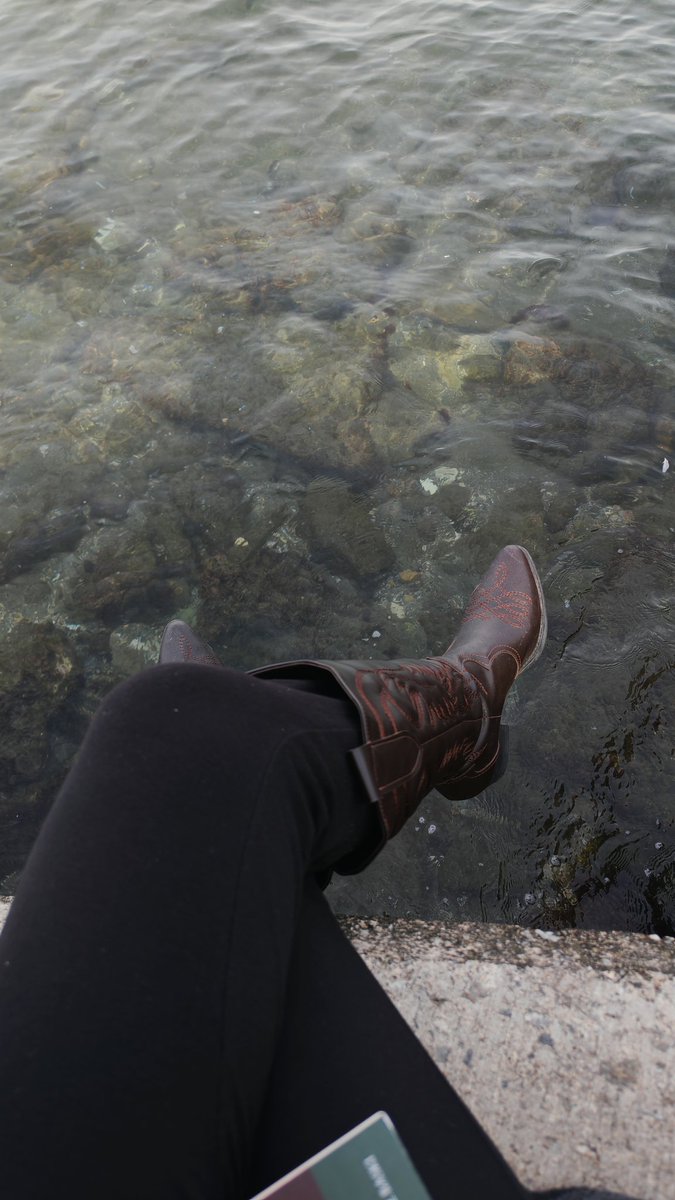 ballı hardal tweet media