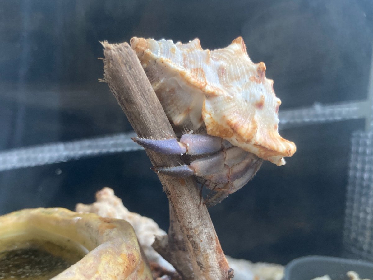 ryuryu.❌No DMs please🐯🍥🍚😋🎹🎸 fx 📸🐠🎣🌼🍺… tweet media