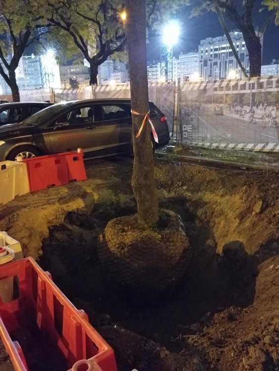 Francisco Costa tweet media