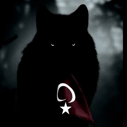 ceyhanburakab's tweet photo. Başta Şehit Mehmet Selim Kiraz olmak üzere; adalet yolunda görev yaparken şehadete yürüyen tüm yargı mensuplarımızı ve vatan uğruna can veren aziz şehitlerimizi rahmet, minnet ve saygıyla anıyorum. 
Aynı inanç, azim ve kararlılıkla buradayız…🇹🇷 https://t.co/Z5cQU3CGbp