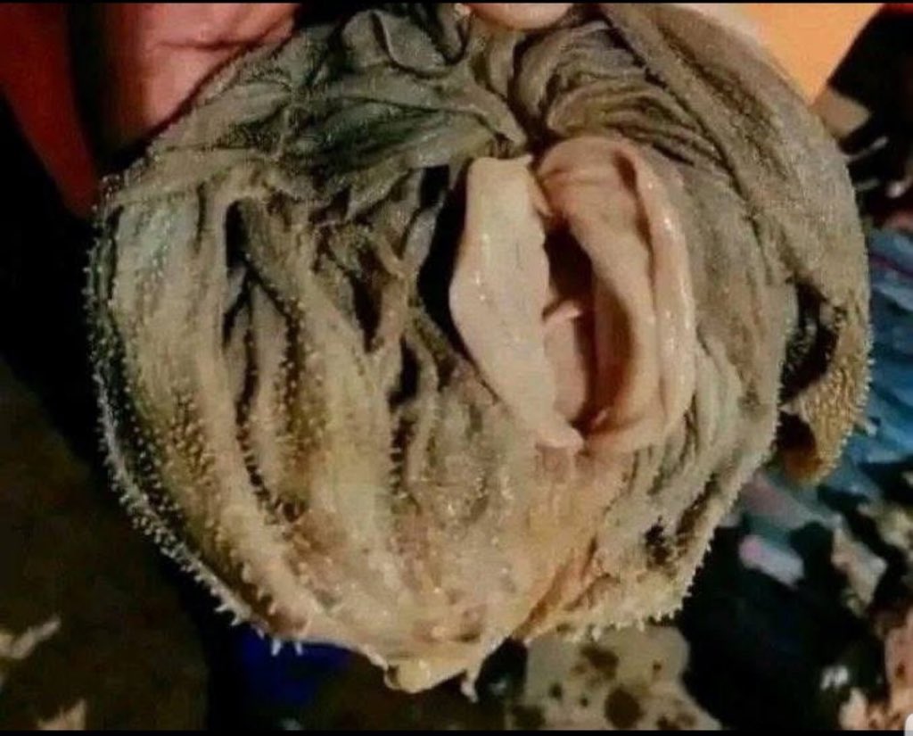 Galaxy TV Jikonkone tweet media