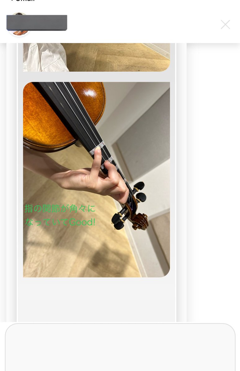 ねこちわわ tweet media