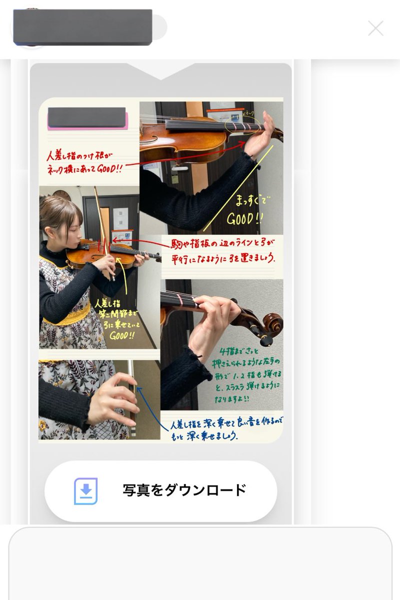 ねこちわわ tweet media