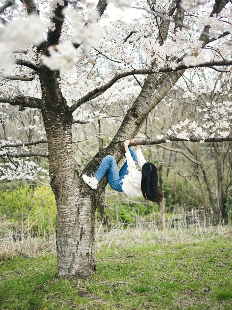 toshiya suda tweet media