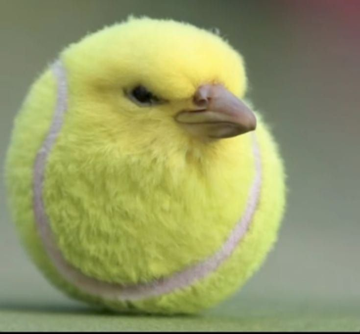 ByteSlayer tweet media