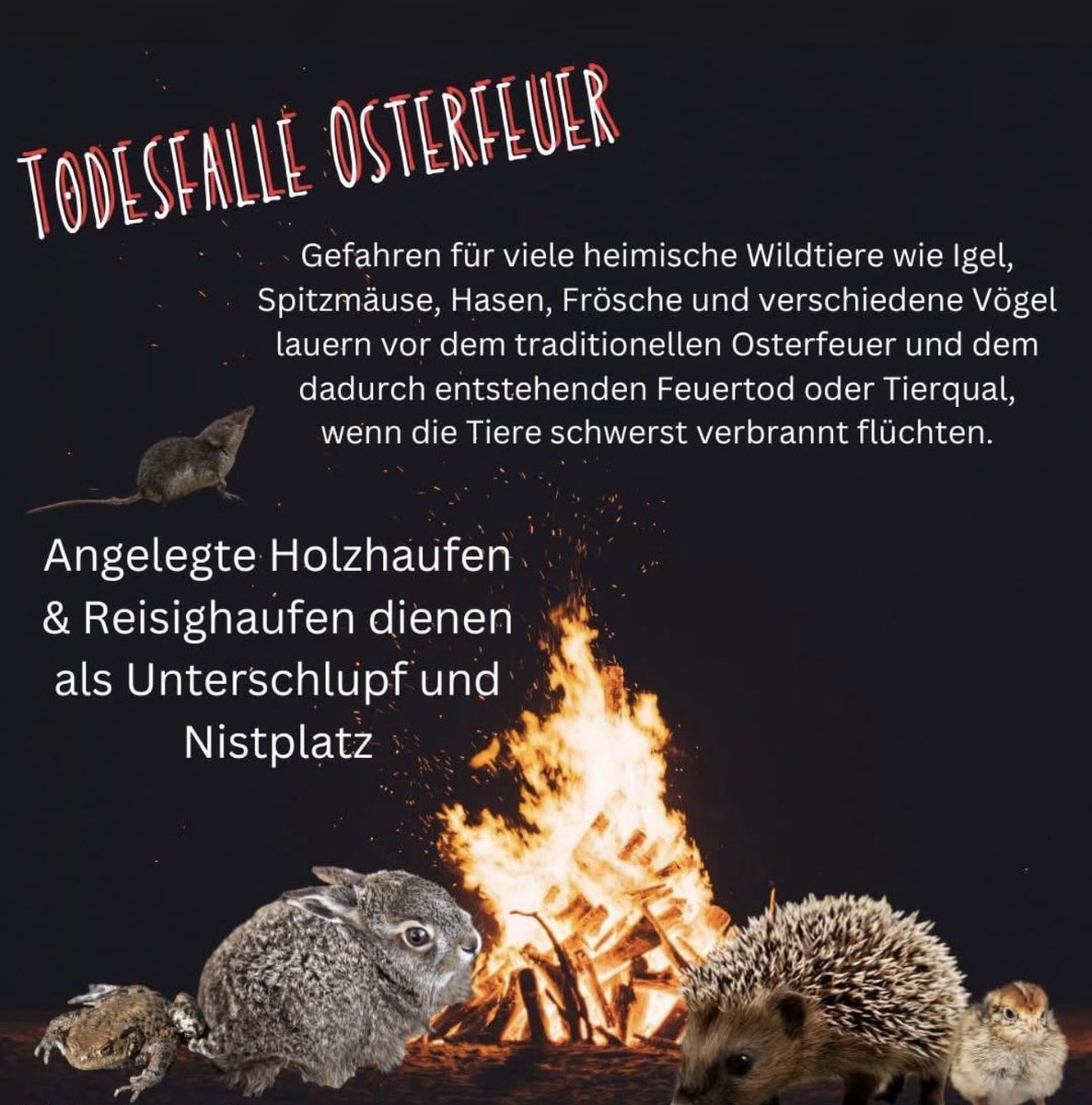 Igel-Hilfe tweet media